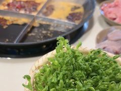 -岗上渣渣老火锅(两路口店)