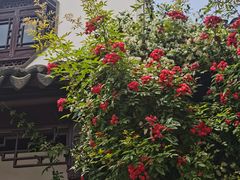 -中国昆曲博物馆