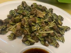 白灼藤壶-文仔海鲜馆