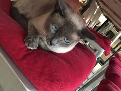 -MIKAKU(万达广场上海宝山店)