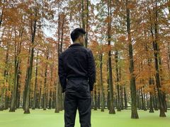 -渌洋湖湿地公园