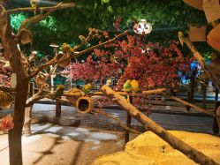 -酷嗒动物文化乐园(cutezoo西溪乐天城店)