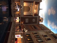 威尼斯人(美国免税店)-DFA澳门免税店