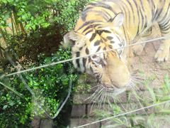 -泉州海丝野生动物世界