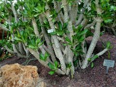 -南通洲际绿博园