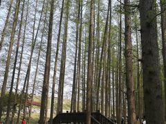 -南京金牛湖风景区