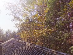 -井冈山风景名胜区