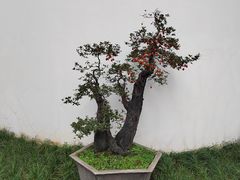 -成都杜甫草堂博物馆