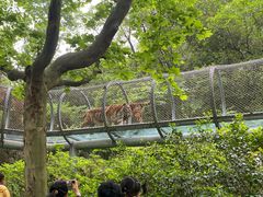 -宁波野生动物园