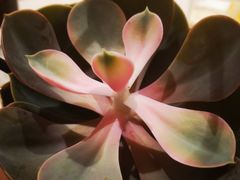 -海底捞火锅(大融城店)