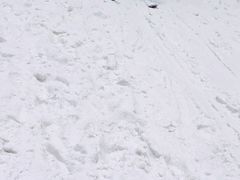 -绍兴启迪乔波冰雪世界