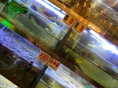 水产区-桥东喜碧海鲜街(水东街店)
