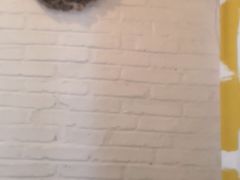 -春风十里咖啡馆