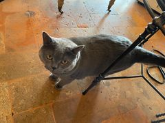 -Me Coffee下午茶艺术空间