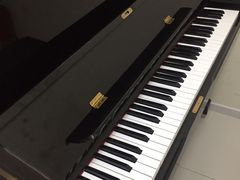 -谈·PIANO(金唐新光界店)