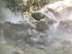 -牛背梁国家森林公园