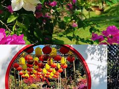 -盈香心动乐园