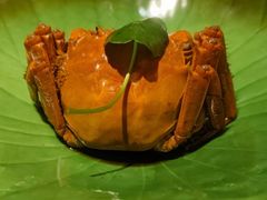 -淮扬府(安定门店)