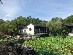 -八大山人梅湖景区