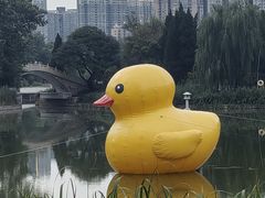 -渭滨公园