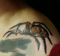 -Black Tattoo Studio