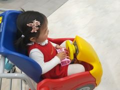 -证大喜玛拉雅中心