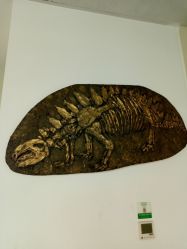 -保定市儿童医院