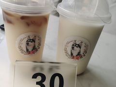 -Husky Go! 哈士奇体验馆·宠物咖啡厅狗咖