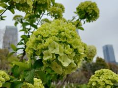 -天鹅湖体育公园