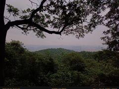 -东莞市大岭山森林公园