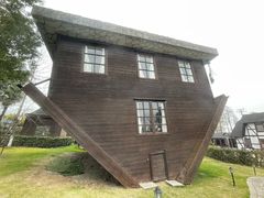 -金山农民画村-枫泾波兰倒置屋