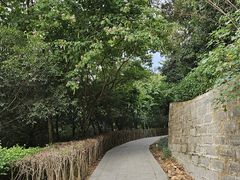 -金鸡山公园
