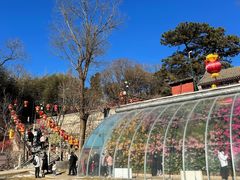 -红螺寺