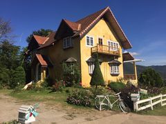 -黄色小屋