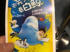 -芜湖新华联大白鲸海洋公园