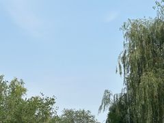 景点-北京海洋馆