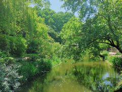 -上海共青森林公园