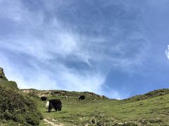 -墨石公园景区