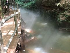 -川西竹海景区