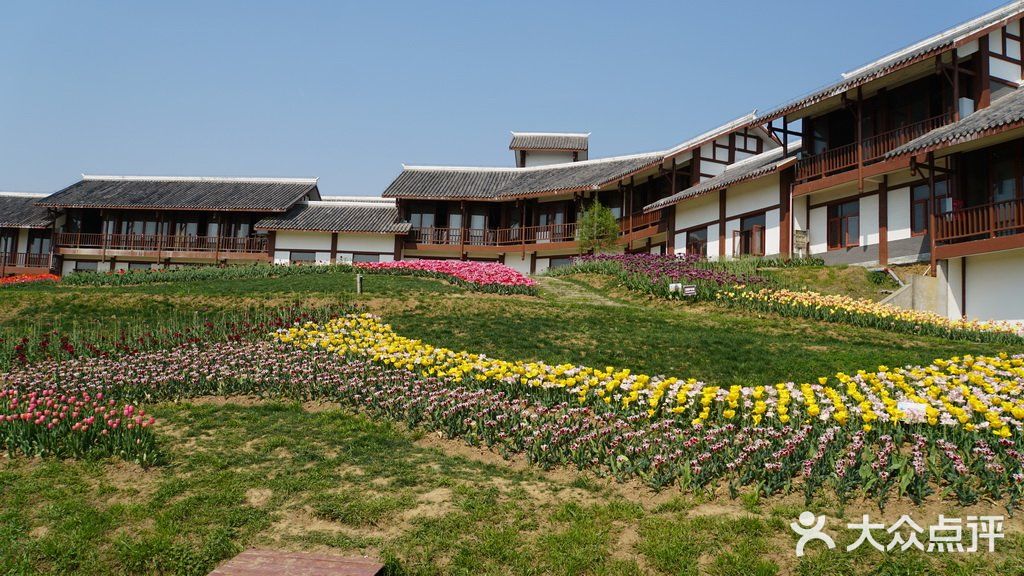 梦中花园——湖北孝感金卉庄园