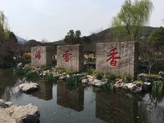 -香雪海