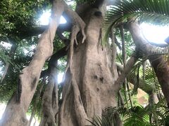 -东方华地城湿地温泉度假区