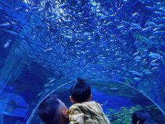 -海合安成都极地海洋公园