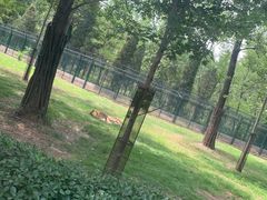 -秦皇岛野生动物园