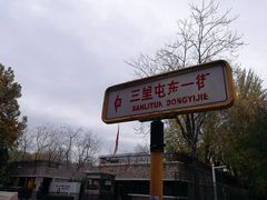 -三里屯东五街银杏大道