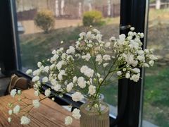-北马山庄植趣咖啡