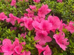 -重庆中央公园(渝北区)