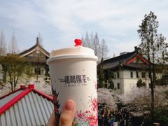-鸡鸣赐茶(鸡鸣寺路店)