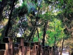 -金堂县云顶石城风景区