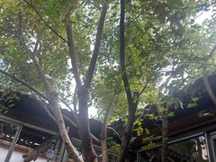 -VOYAGE COFFEE(杨梅竹店)